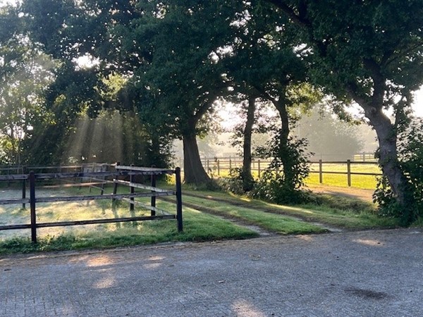 Medium property photo - Houtwal 34, 9363 XA Marum